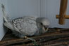 DSC01841.JPG
