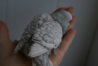 DSC01842.JPG