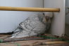 DSC01843.JPG