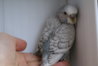 DSC01844.JPG