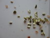 DSC02665.JPG