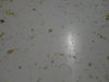 DSC02669.JPG