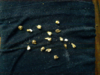 DSC07681=.png