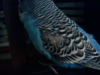 DSC07674=.png