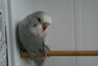 DSC02241.JPG