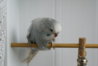 DSC02249.JPG