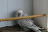 DSC02261.JPG