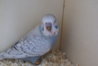 DSC02264.JPG