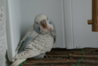 DSC02269.JPG