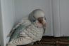 DSC02272.JPG