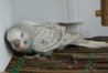 DSC02273.JPG