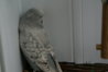 DSC02275.JPG