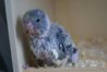 DSC02448.JPG