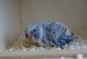 DSC02488.JPG