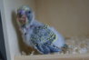 DSC02492.JPG
