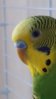 20160214_140431.jpg