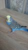 DSC_0354.JPG