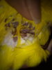 IMG_20200326_110145.jpg