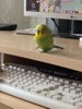 791BF816-DE12-4E1D-A596-77F415CBF83F.jpeg