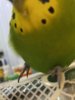 CADAE665-4205-40F5-8302-838DF83343CD.jpeg
