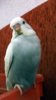 DSCF0814.JPG