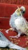 DSCF0742.JPG