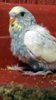DSCF0751.JPG