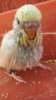 DSCF0819.JPG