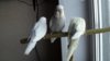 DSCF0682.JPG