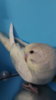 DSCF0859.JPG