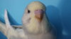 DSCF0863.JPG