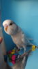 DSCF0874.JPG