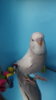 DSCF0877.JPG