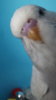DSCF0885.JPG