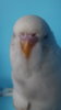 DSCF0899.JPG