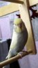 DSCF0906.JPG