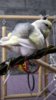 DSCF0967.JPG