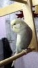 DSCF0907.JPG