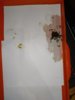 IMG_20200423_071523.jpg