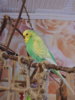 DSCN8128.JPG