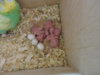 DSCN8864.JPG