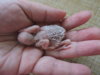 DSCN8924.JPG