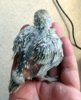 DSCF3071.JPG