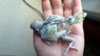 DSCF3059.JPG