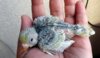 DSCF3055.JPG