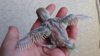 DSCF3048.JPG