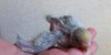 DSCF3041.JPG