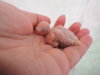 DSCN9015.JPG