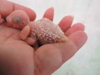 DSCN9016.JPG