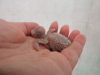 DSCN9020.JPG